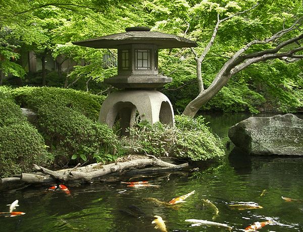 Bold-stone-lantern-along-with-colorful-carp-and-gold-fish-in-the-pond